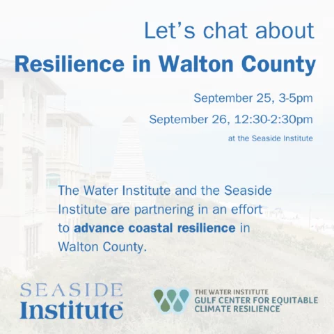 water institute + seaside institute discussion-_water resilience 1
